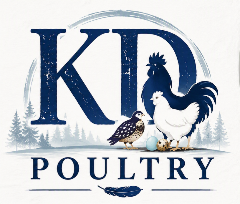 KD Poultry logo